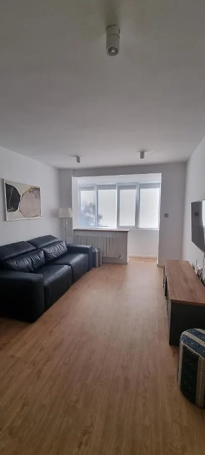 Apartmán Loft Ferdinand Bukurešť